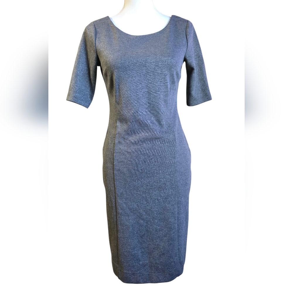 Elegant Metallic Silver/Gray Women's Dress